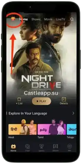 Castle App